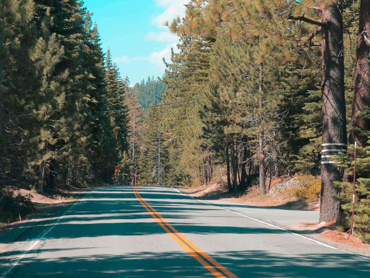 south lake tahoe road with pine trees during daytime united states